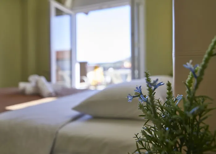 Ioranna - Sithonia Sarti