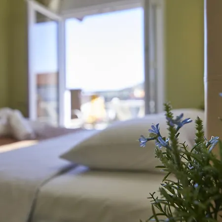 Ioranna - Sithonia Σάρτη